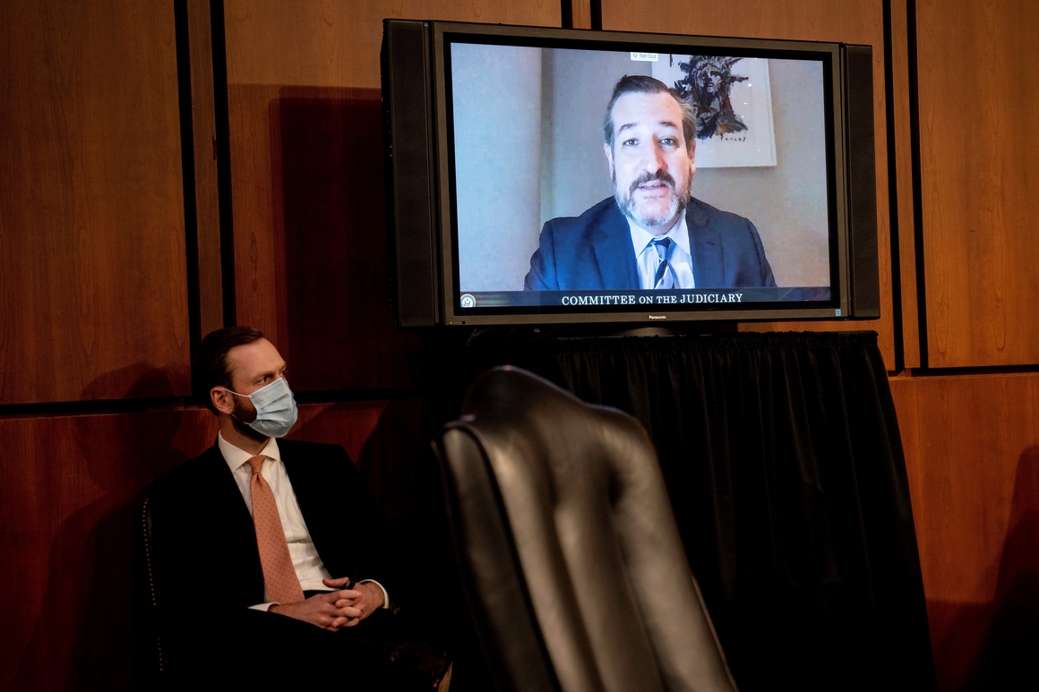 Sen. Ted Cruz is seen speaking remotely at the Barrett hearing
