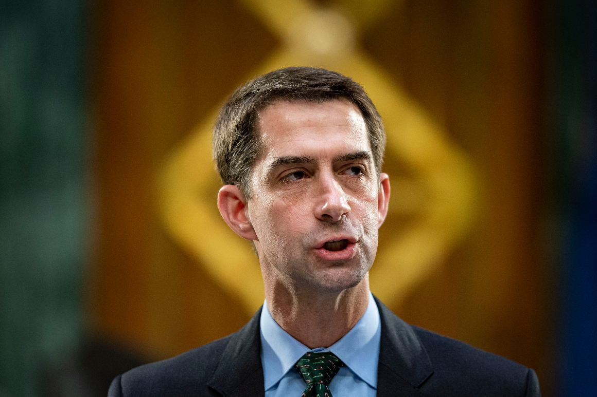 Sen. Tom Cotton (R-Ark.) speaks during a Senate Banking Committee hearing on Capitol Hill, on Tuesday, Dec. 1, 2020, in Washington. 