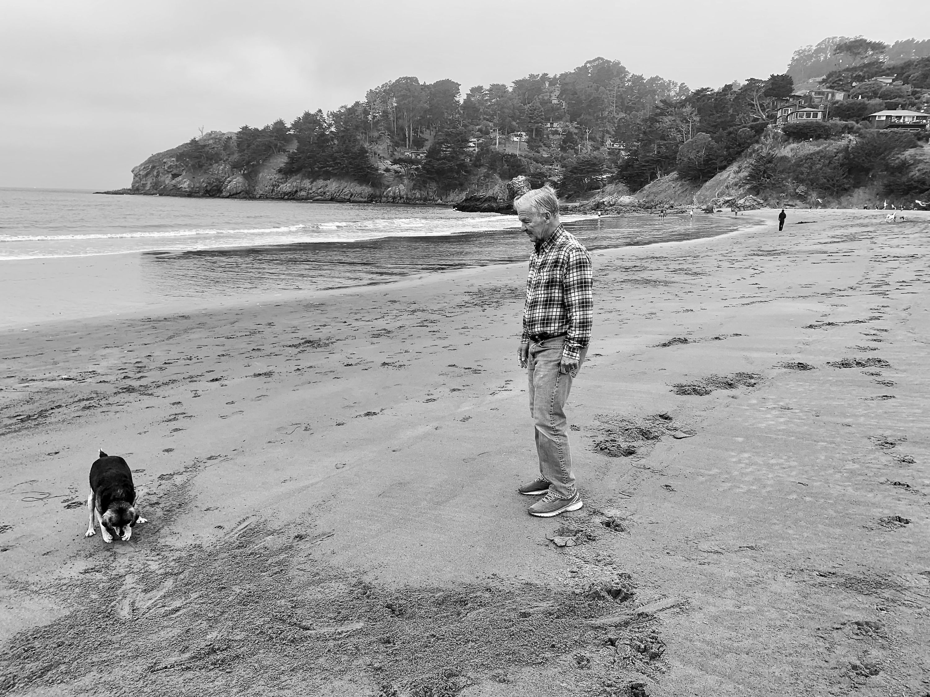 a black and white photo of a man and his dog on a beach